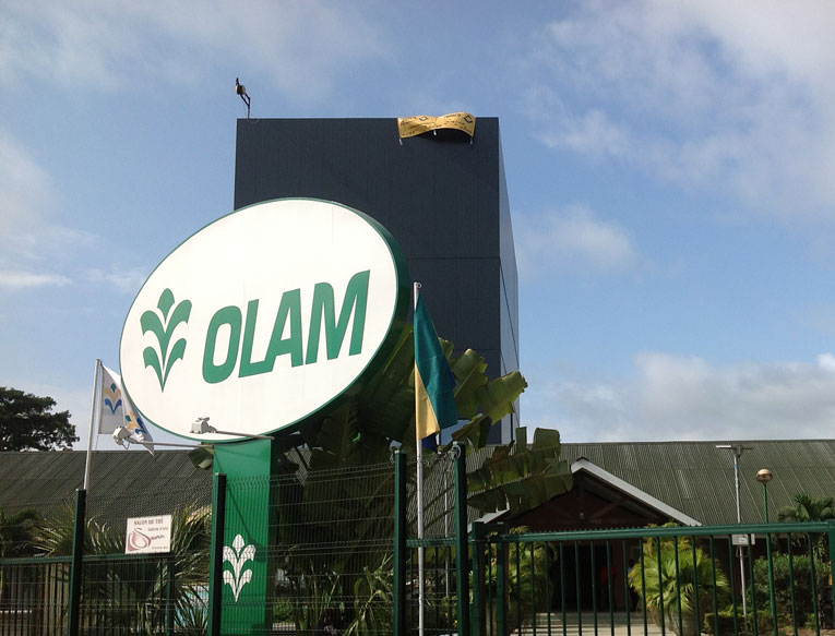 Referenza Olam Office